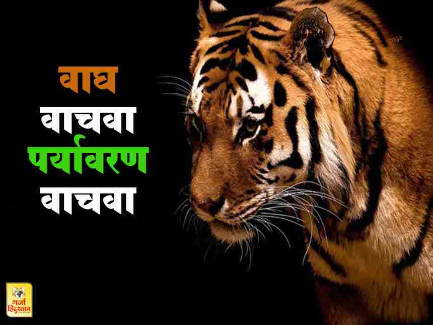 3 हजार वाघांच्या सरंक्षणासाठी भारत कटिबद्ध : नरेंद्र मोदी