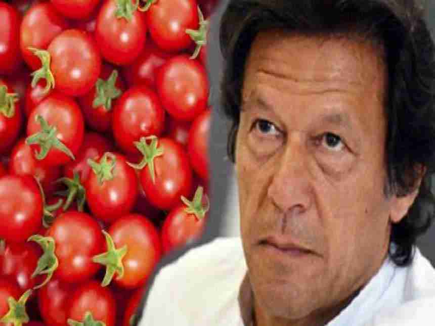 पाकिस्तान 300 रुपये किलो टोमॅटो