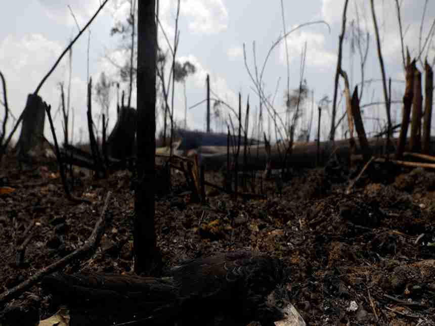  Warplanes dump water on Amazon as Brazil military starts battling fires 