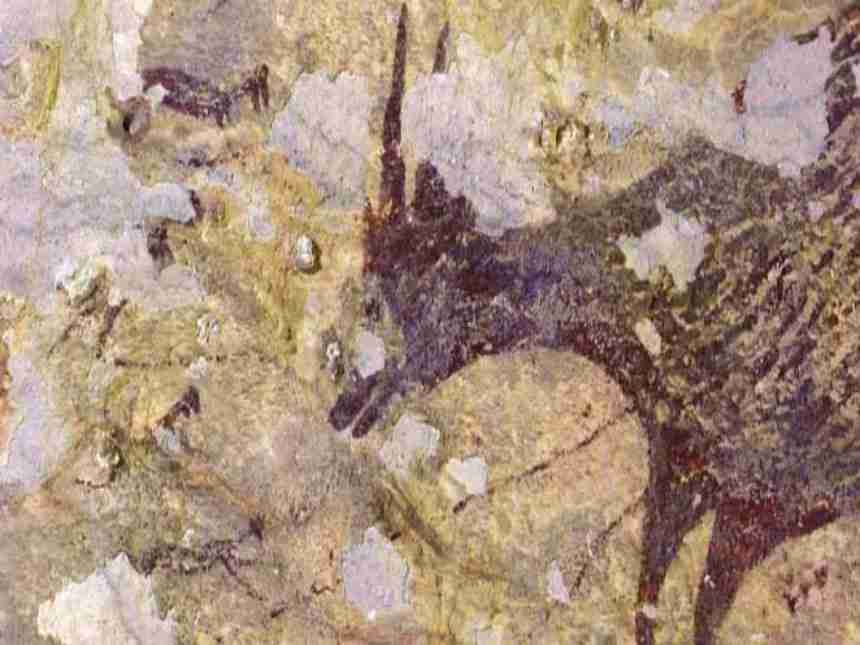 सुलावेसी या द्वीपावर सापडले चक्क 44 हजार वर्षे जुने चित्र